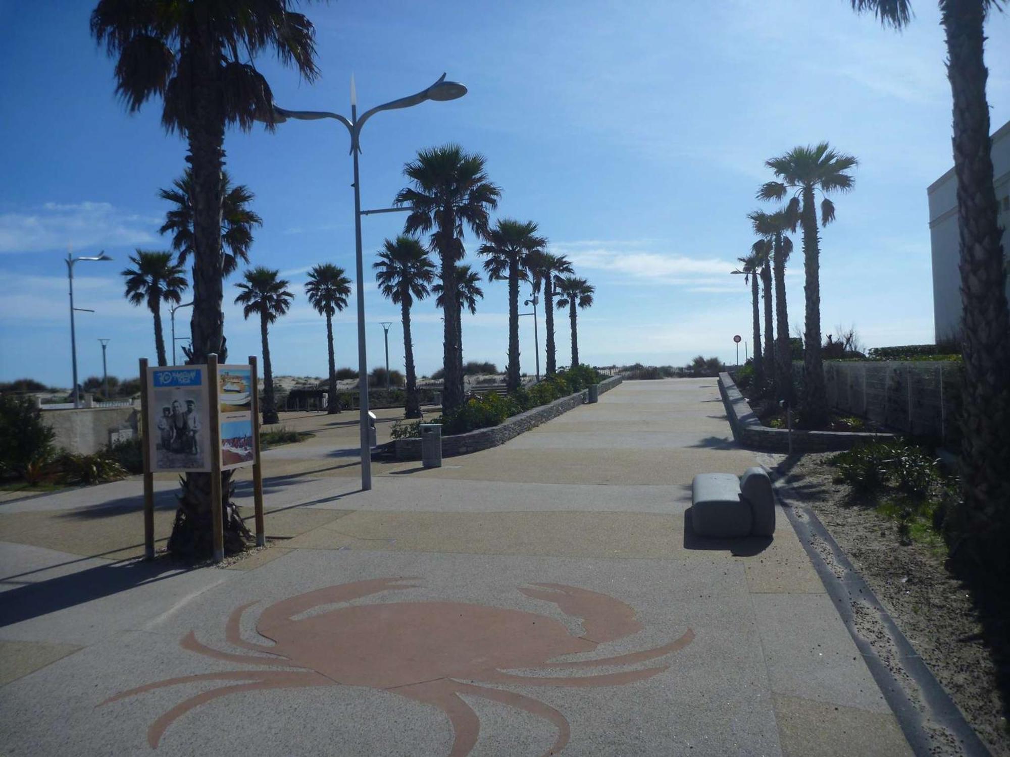 Appartement Ensoleille Avec Terrasse Et Parking, A 2 Pas De La Plage - Marseillan - Fr-1-387-169 Exteriér fotografie